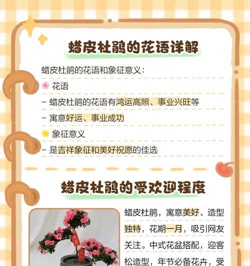 杜鹃花的象征意义是什么？
