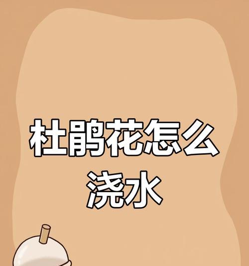杜鹃花夏天浇水技巧有哪些？如何避免过度浇水？