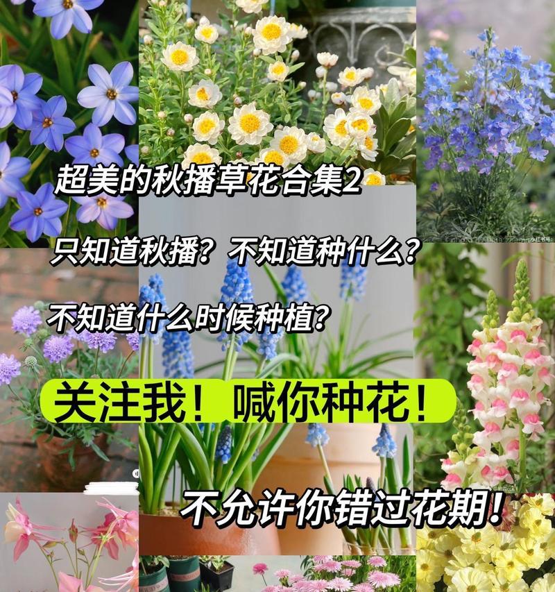 什么时候种花最好？春季种植花卉的黄金时间是什么时候？