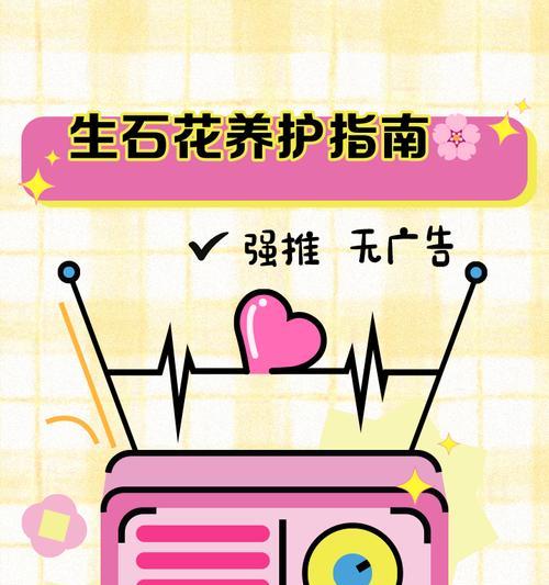 生石花养护的步骤和注意事项是什么？