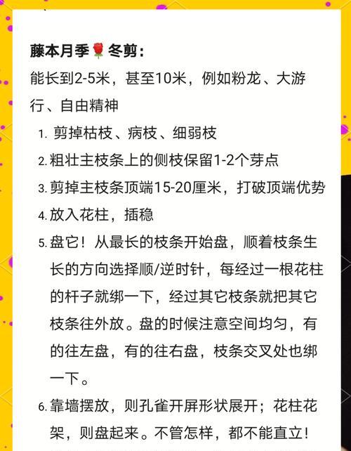 花卉修剪的正确方法和技巧是什么？