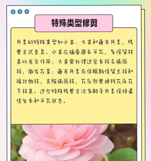 花卉修剪的正确方法和技巧是什么？