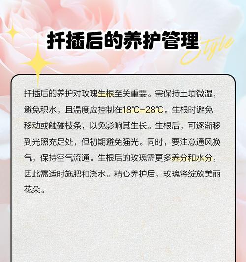 绿帝王扦插成功的关键是什么？