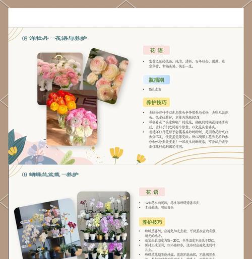 君子兰叶子整齐的养护技巧是什么？