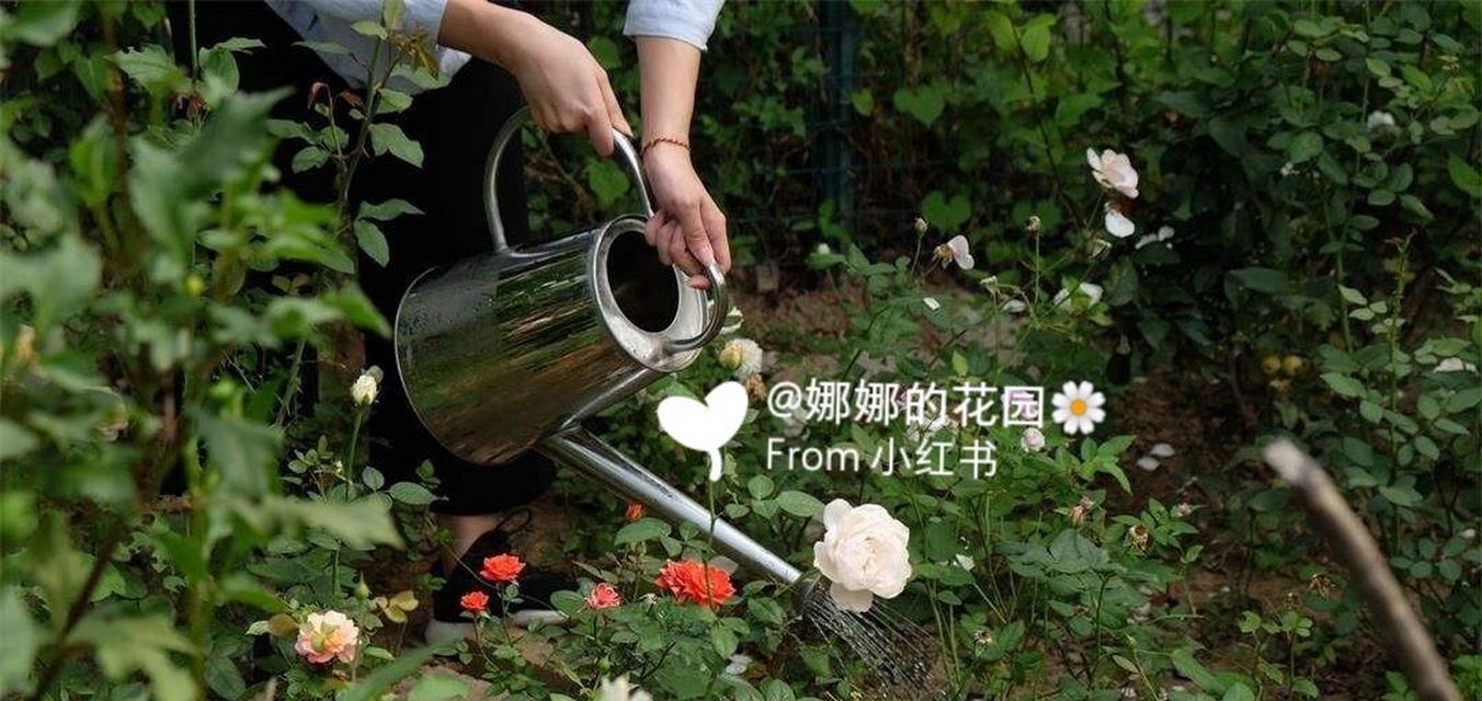 花卉浇水的最佳时间和方法是什么？