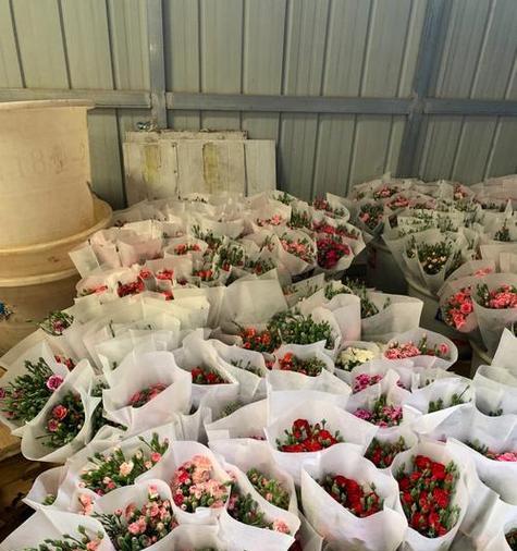 地摊花卉品种选择技巧？如何吸引顾客购买？