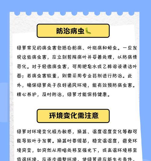 绿萝叶子变黄的处理和预防措施？