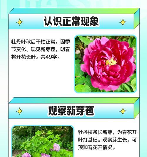花卉修剪叶子的正确步骤是什么？怎样修剪才能促进花的生长？