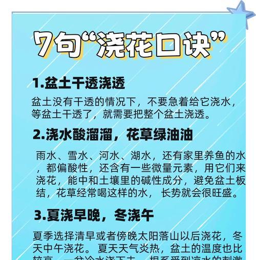 浇花用什么水最好？自来水还是雨水？