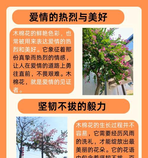 木棉花有哪些品种？木棉花品种特点与养护方法？