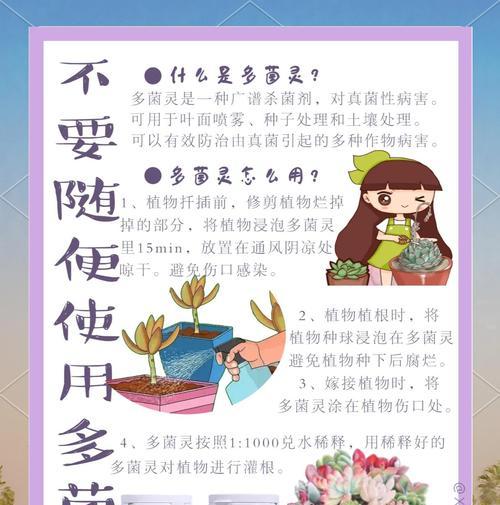碰碰香烂根怎么办？烂根的急救措施是什么？