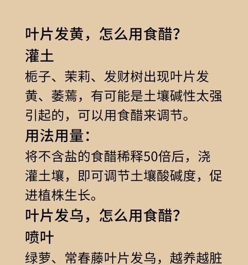 栀子叶子黄怎么办？有效解决方法有哪些？