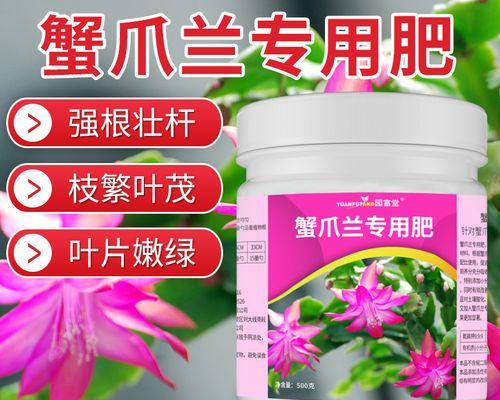 蟹爪莲需要什么肥料？如何正确施肥？