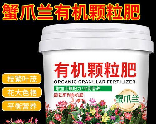 蟹爪莲需要什么肥料？如何正确施肥？