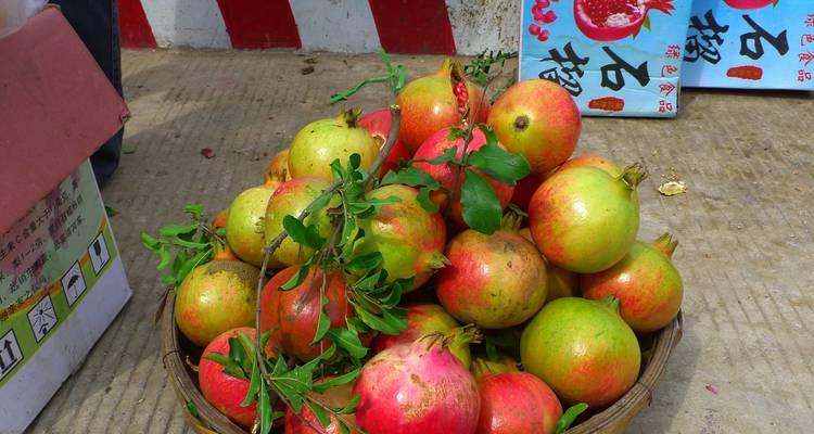 石榴栽培的正确方法是什么？