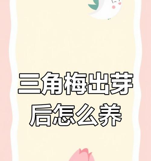 花种发芽后浇水需要注意什么？怎样正确浇水？