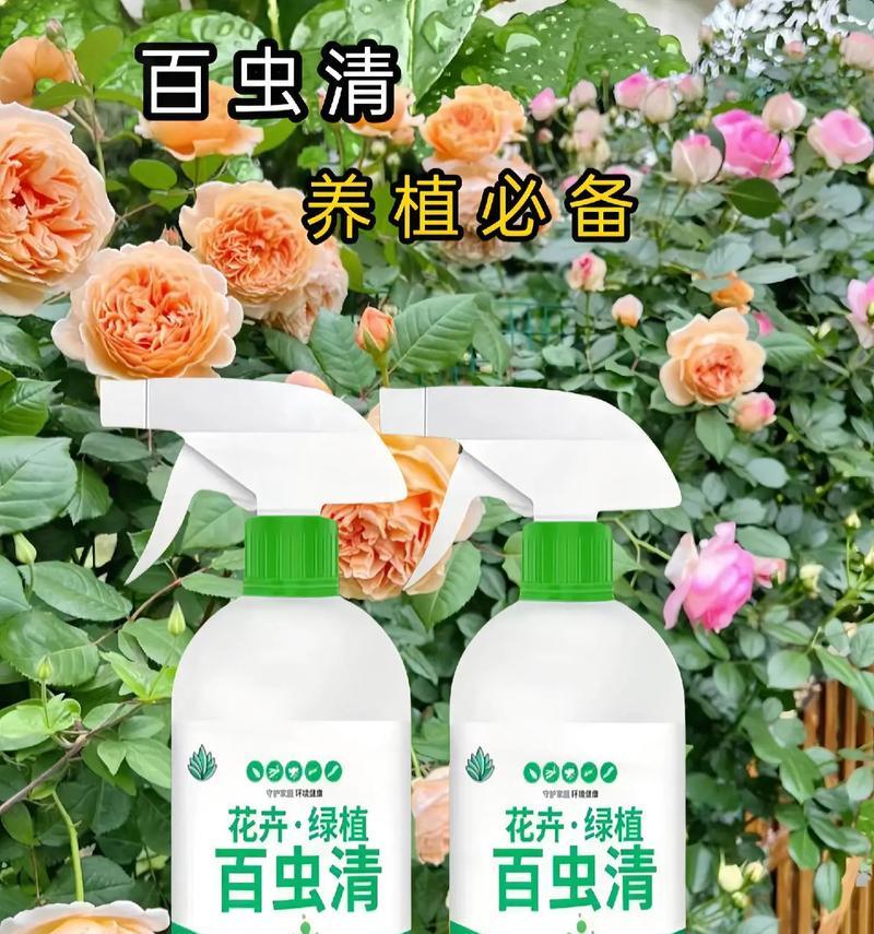 花怎么防虫？花卉防虫的有效方法和预防措施是什么？
