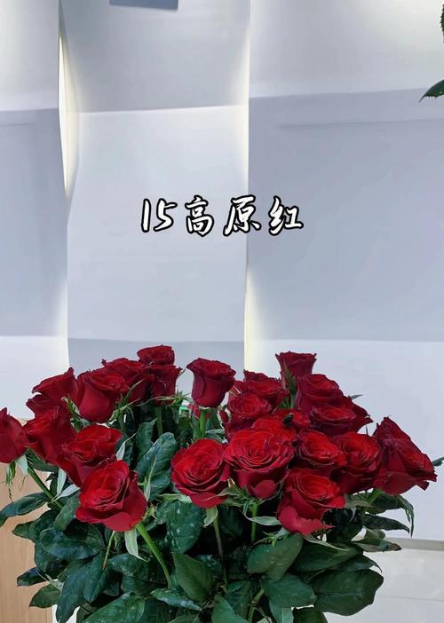如何长时间养护玫瑰花？有哪些技巧？