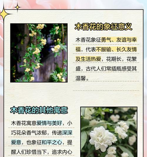 误食万年青后怎么办？如何进行急救处理？