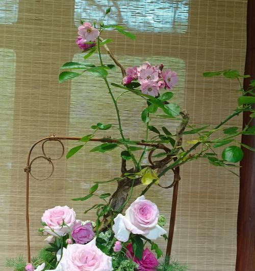 插花时选择哪种花最合适？插花花卉推荐？