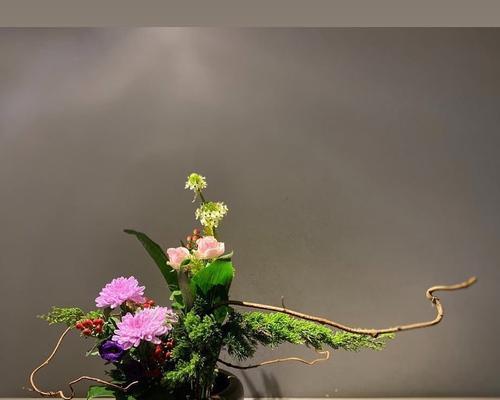 插花时选择哪种花最合适？插花花卉推荐？
