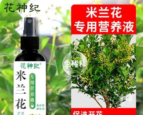 米兰花施肥的正确方法和肥料选择是什么？