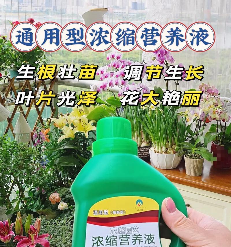 花草营养液的正确使用方法是什么？使用时应注意什么？