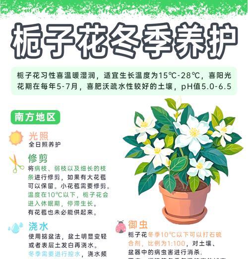 牡丹栀子花的修剪技巧有哪些？