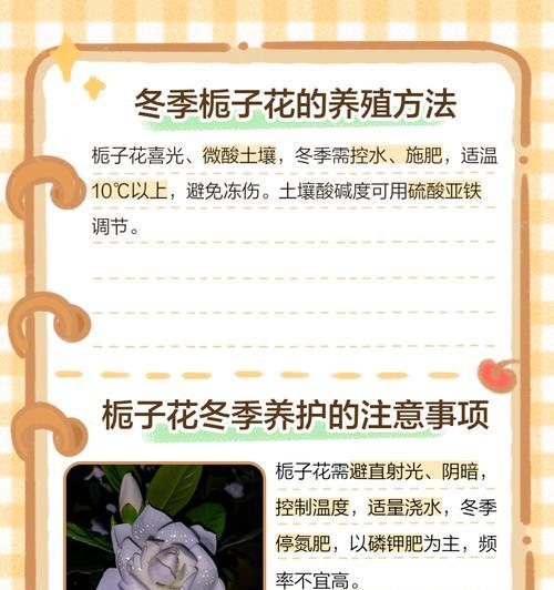 桅子花养护技巧是什么？如何让桅子花开出更多花朵？