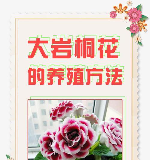 发财花的养殖方法是什么？